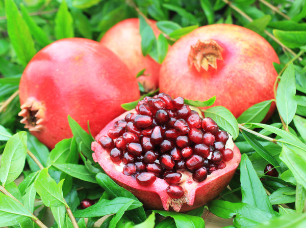 Australian Pomegranate/anar Hybrid Fruit Plant