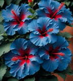 Pack of 2 Hot Climate HR 99 Apple Hybrid Fruit Plant + Rare Blue Hibiscus Flower Plant