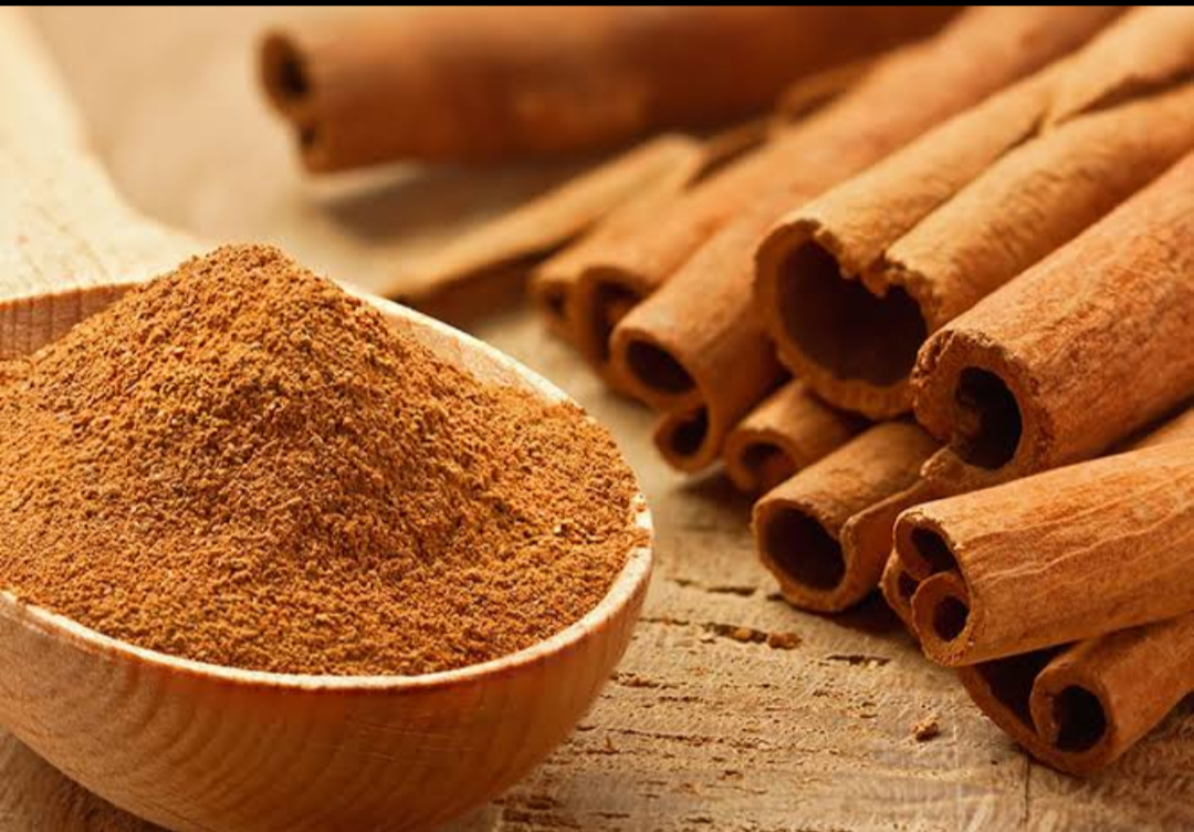 Brown Cannamon (dalchini) Masala Plant