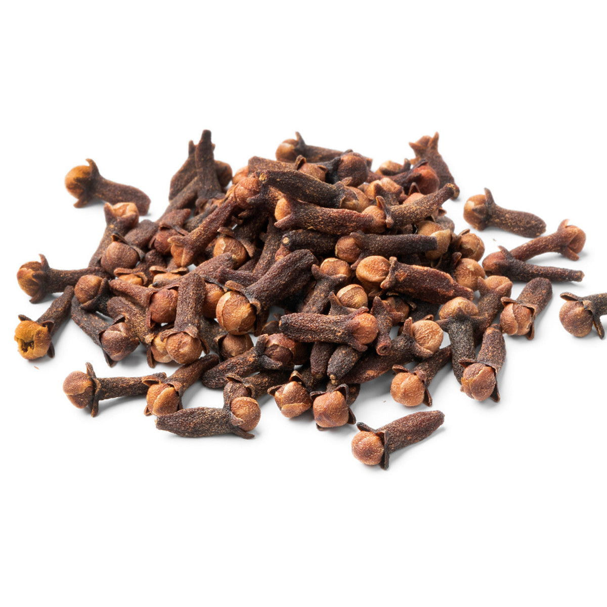 Clove/lobongo Air Leading Masala Live Plant (pack Of - 1)