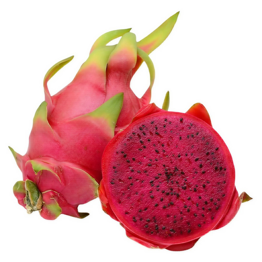 Red Dragon Fruit Hybrid Plant ( Pack Of - 1 )