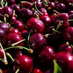 Japanese Sweet Cherry Dwarf Varieties Fruit Plant (pack Of - 1)