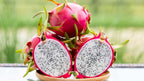 Thai White Dragon Fruit Hybrid Plant