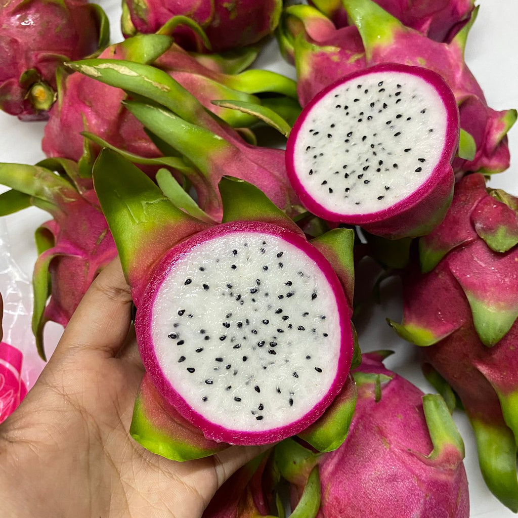 Thai White Dragon Fruit Hybrid Plant