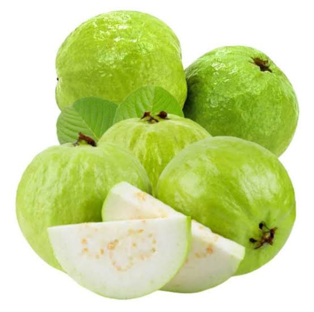 Thai - 7 Guava Hybrid Fruit Plant
