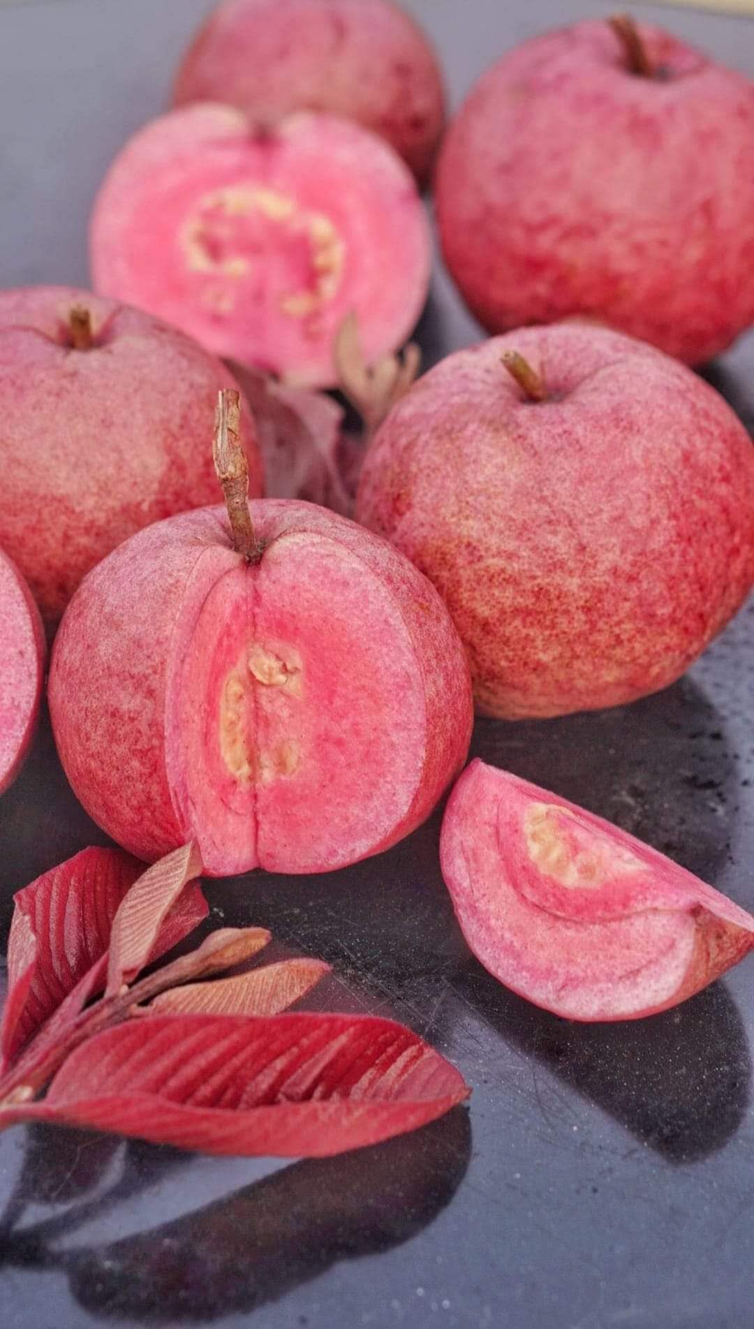 Japanese Red Guava Hybrid Fruit Plant (pack Of- 1)