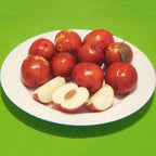 Red Miss India Apple Ber Hybrid Graftad Fruit Plant