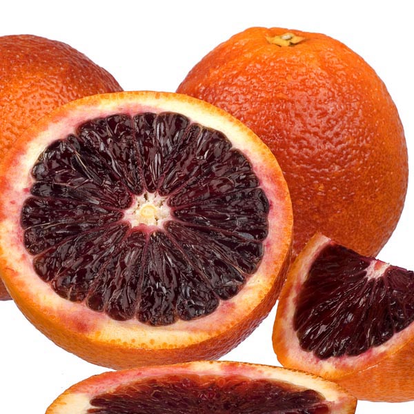 Thai Moro Blood Orange Dwarf Varieties Fruit Plant