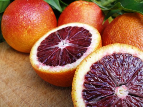 Thai Moro Blood Orange Dwarf Varieties Fruit Plant