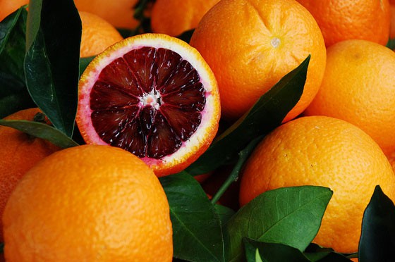 Thai Moro Blood Orange Dwarf Varieties Fruit Plant