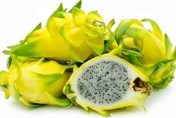 Pack Of 2 White & Yellow Dragon Fruit Hybrid Plant