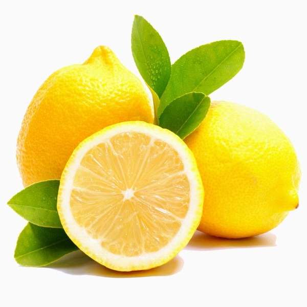 Seedless Lemon Hybrid Air Learning Grafted Fruit Plant (pack Of - 1)