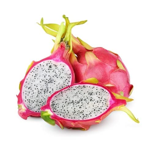 Pack Of 3 Combo Dragon Fruit Hybrid Plant
