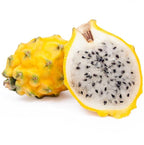 Pack Of 3 Combo Dragon Fruit Hybrid Plant
