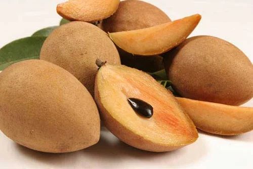 Thai Chikoo/sapota Grafted Fruit Plant