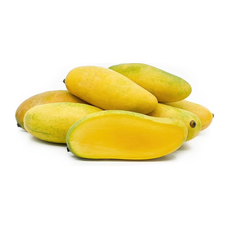 Thai King Long Banana Mango Grafted Plant (pack Of - 1)