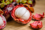 Thai Mangosteen Hybrid Fruit Plant
