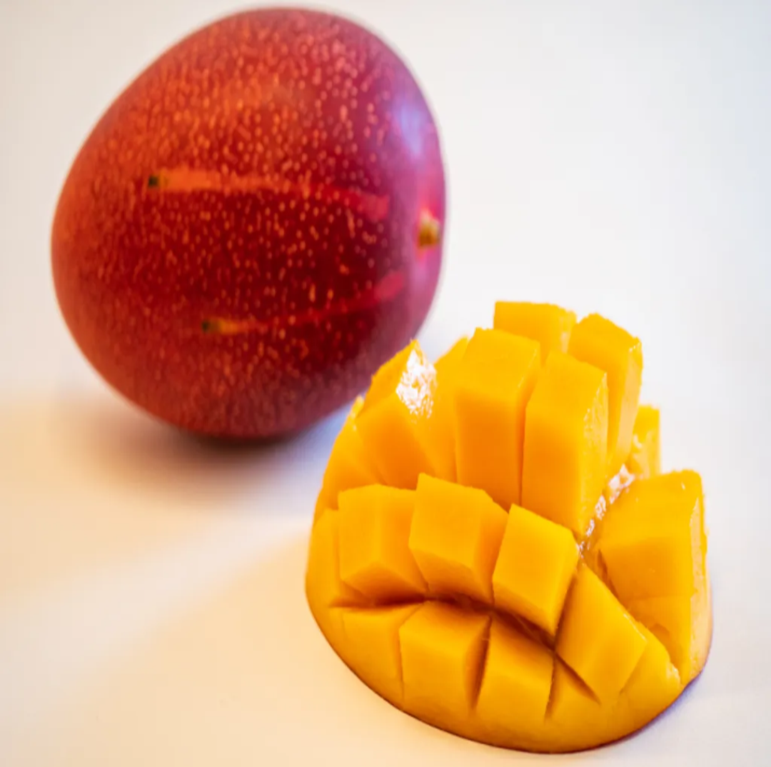 Japanese Miyazaki Mango Grafted Fruit Plant