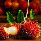 Rambutan Malaysian Varieties Hybrid Fruit Plant