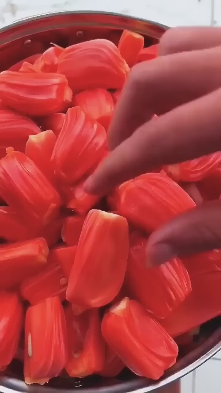 Thai All Time Red Jack Fruit Hybrid Grafted Plant