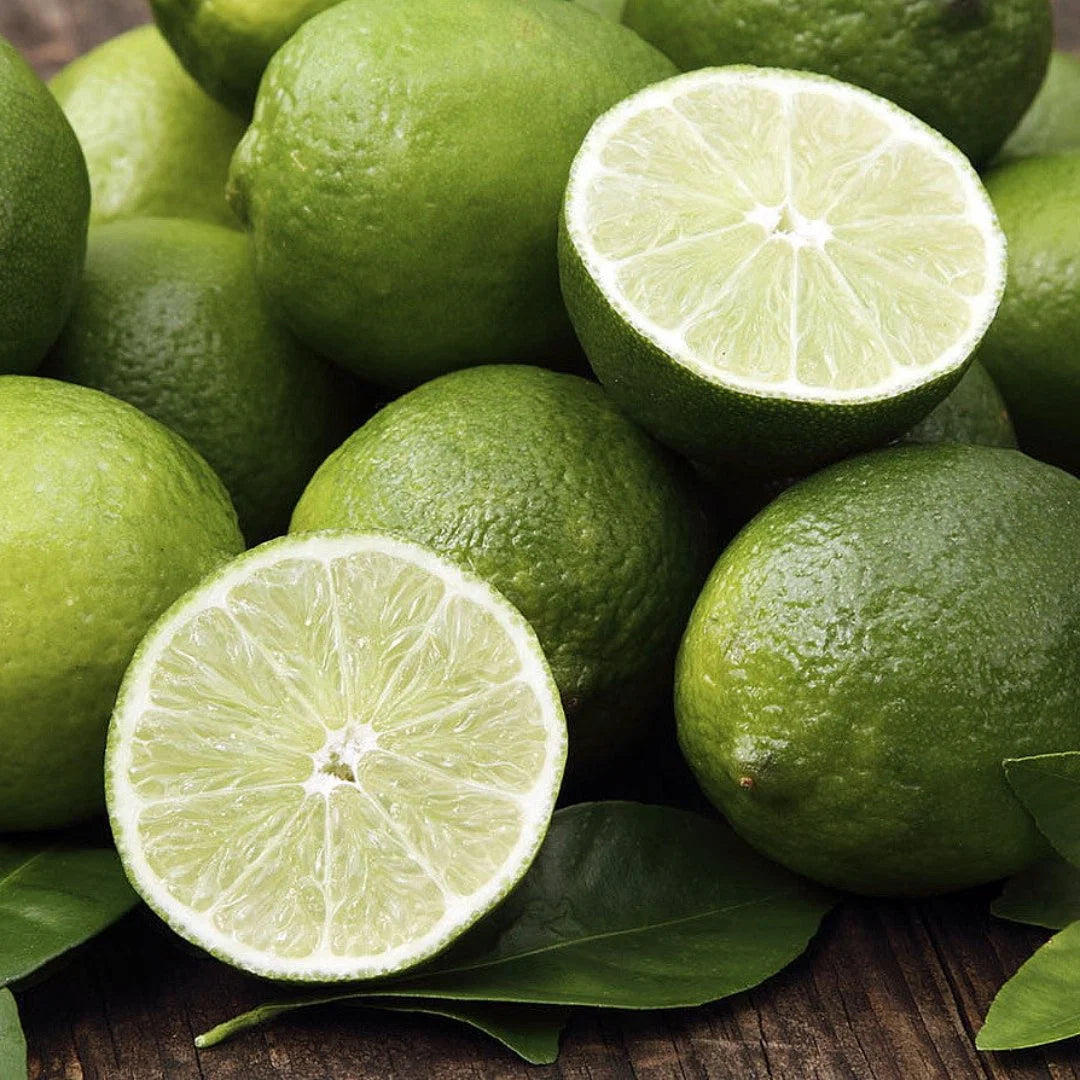 Seedless Lemon Hybrid Air Learning Fruit Plant