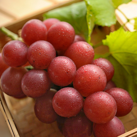 Rare Red Grapes Hybrid Air Learning Fruit Plant (pack Of - 1)