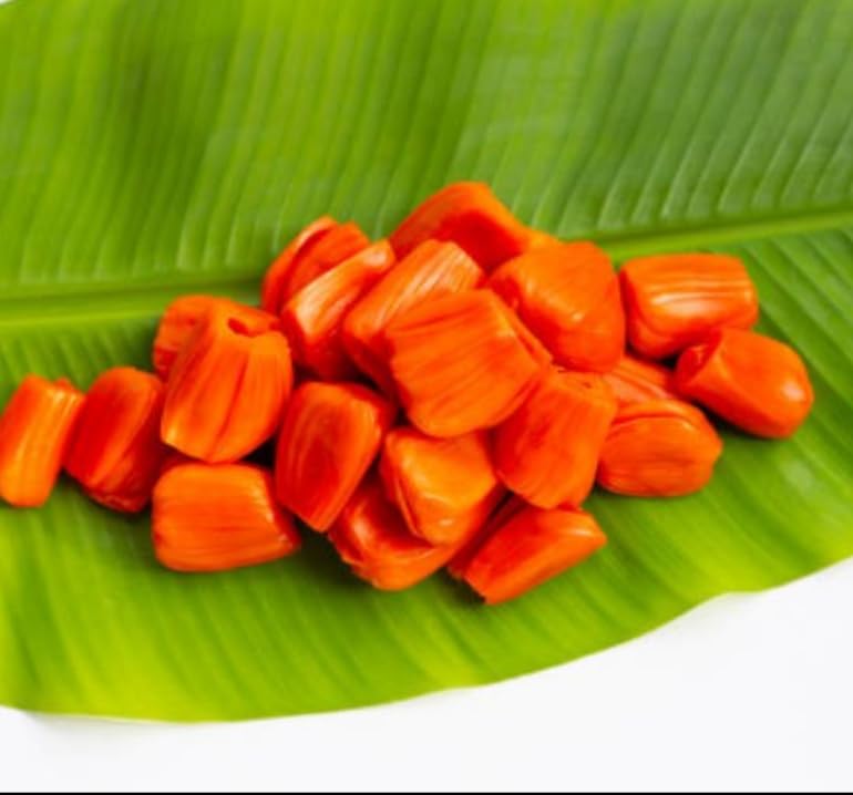 Thai All Time Red Jack Fruit Hybrid Grafted Plant