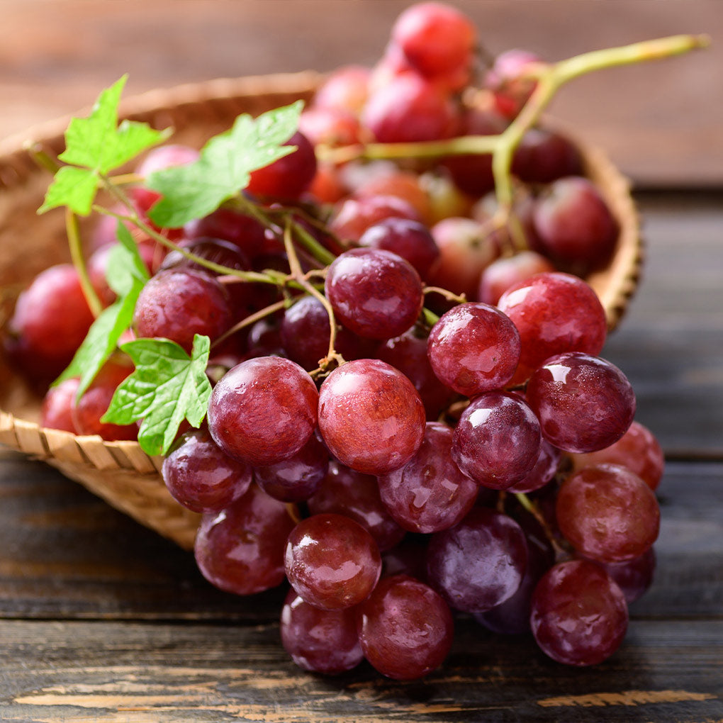 Victoria Seedless Grapes Hybrid Air Learning Grafted Fruit Plant (Pack Of - 1)
